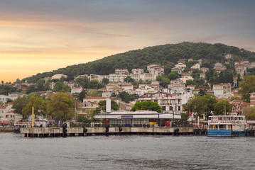 Marmara Sea, Heybeliada Island Ferry Terminal with summer houses, and green mountains in the...