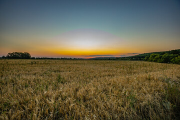 summer landscape in rural areas