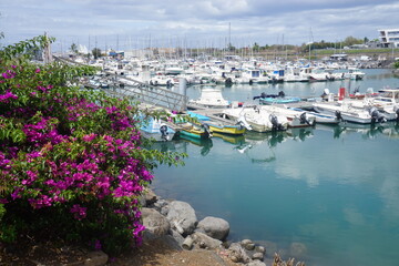 boats in harbor by a pink bougainvillea on the tropical island of La Réunion, France