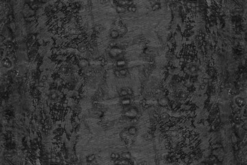 Abstract rough textured dark gray old concrete plaster wall