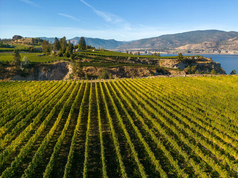 Naramata Bench Winery Vineyard Penticton Okanagan Valley