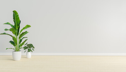 empty mock up room with plant, 3d illustration rendering