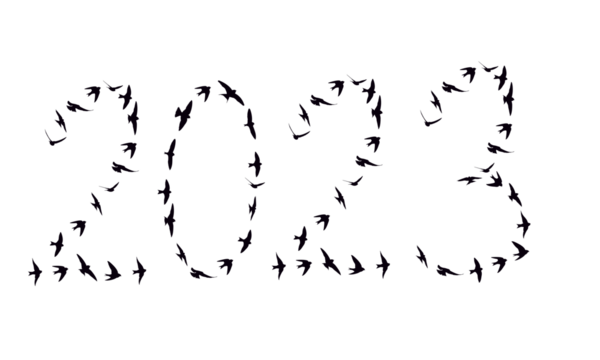 Silhouette of flock birds flying in 2023 formation isolated, PNG.