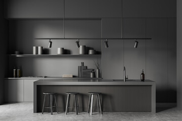 Grey kitchen interior with bar countertop and seats, cooking space