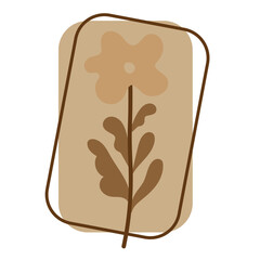 aesthetic botanical flower plant