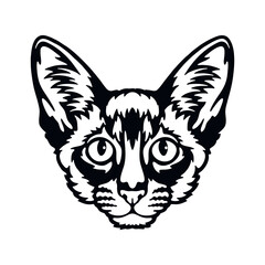 Balinese cat Vector, Peeking Cats, Cats Breed, Pet Vector portrait, Cats Head - obrazy, fototapety, plakaty