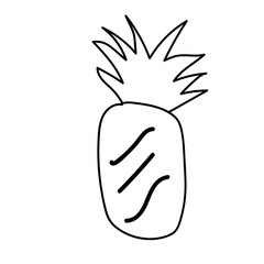 pineapple fruit doodle shape