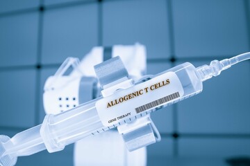 Allogenic T cells