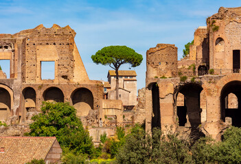 Temple of Apollo Palatinus ruins on Palatine hill, Rome, Italy