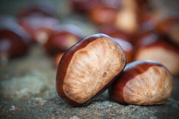 natural chestnuts on the stone table