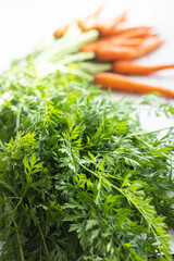 carrot greens