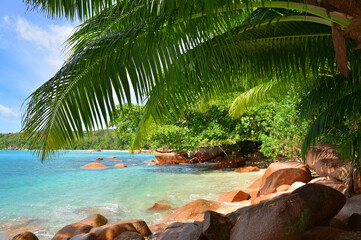Naklejka na ściany i meble Anse Lazio beach in the island Praslin, Seychelles, Indian Ocean, Africa.