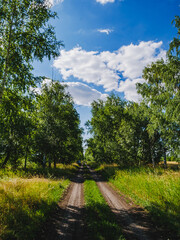 road in the forest