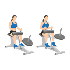 Woman doing exercise using gym equipment. Seated calf machine raises. Flat vector illustration isolated on white background © lioputra