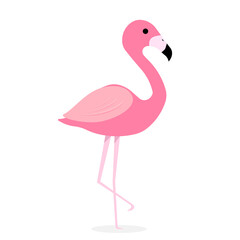 Pink flamingo vector illustration. flat design isolated on white background. Flamingo seamless pattern. Flamingo seamless pattern with polka dots design. Cute pink tropical wallpaper and fabric print.