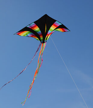 black kite with multicolored rainbow stripes flies high in the blue sky tied to a string