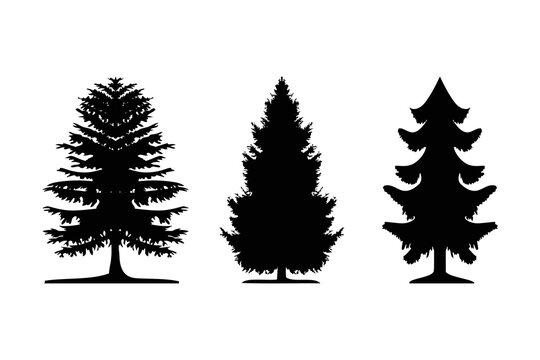 pine tree silhouette logo fir tree vector icon collection.