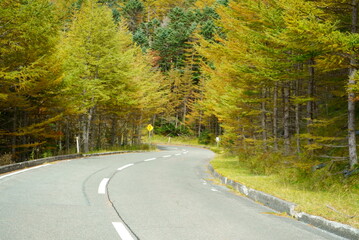 Could you get the temple and foliage in the background？