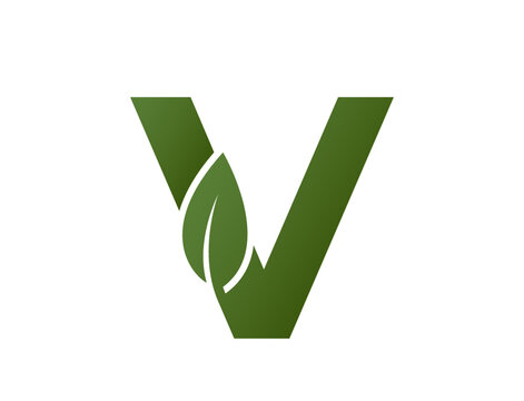letter v with leaf logo. Initial logotype design. eco friendly, ecology and environment symbol