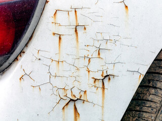 close up of Rusty cracked and peeling paint on an old white car. Cracked painted metal surface....