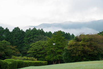 朝靄が降りた芝生の公園