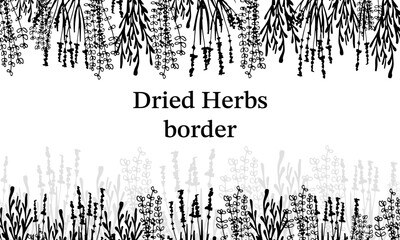 Border Dry Herbs, Dried Flowers. Natural medicine. Black and White Vector illustration