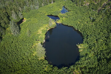 Lake under Mt.Alyeska Tram at Girdwood in Alaska,United States,North America

