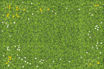 Summer field with grass and flowers. Top view. Abstract green grass texture with white and yellow flowers. View from above.