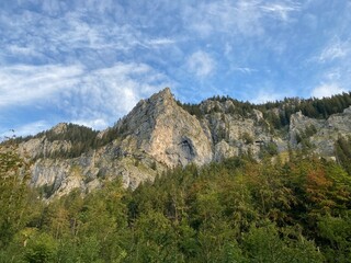 Big mountains landscape in the summer sunny day. Big rocks mountain with green forest, trees, fields, plants and grass. Summer blue sky in the mountain nature landscape. 