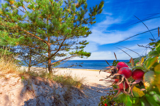 traumhafter, leerer Ostssestrand auf der Insel Usedom bei Zinnowitz,