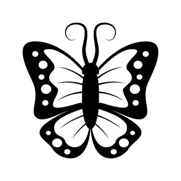 Silhouette butterfly isolated on white background illustration 
