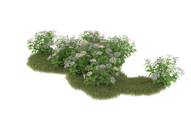 Obraz premium Field of grass with flowers on transparent background. 3d rendering - illustration