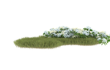 Field of grass with flowers on transparent background. 3d rendering - illustration