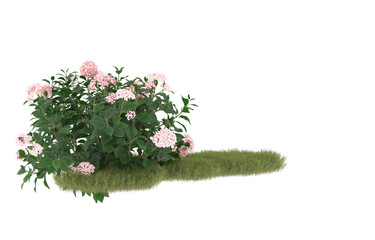 Field of grass with flowers on transparent background. 3d rendering - illustration