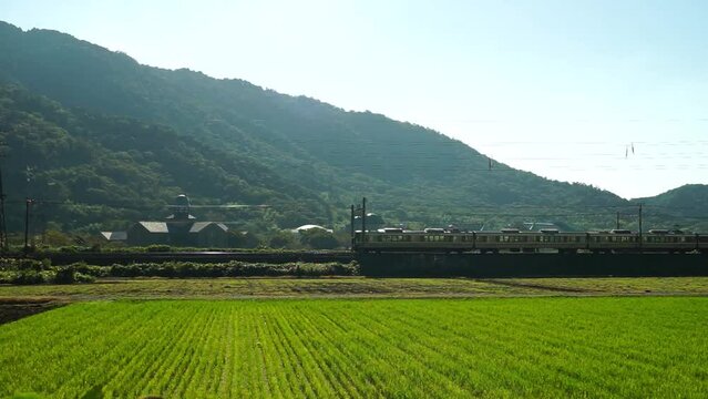 秋の東海道本線 安土～能登川を走るJR西日本225系新快速電車