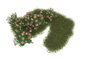 Field of grass with flowers on transparent background. 3d rendering - illustration