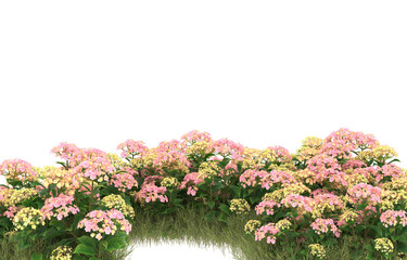 Field of grass with flowers on transparent background. 3d rendering - illustration