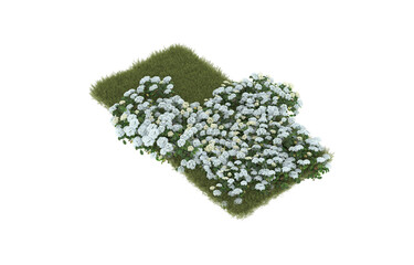 Field of grass with flowers on transparent background. 3d rendering - illustration