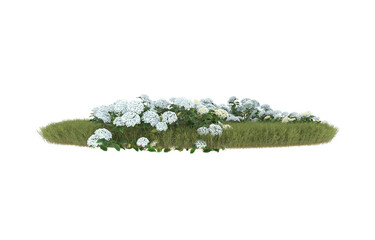 Field of grass with flowers on transparent background. 3d rendering - illustration