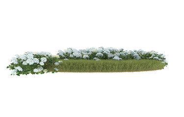 Field of grass with flowers on transparent background. 3d rendering - illustration