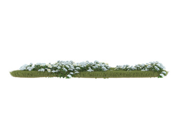 Field of grass with flowers on transparent background. 3d rendering - illustration