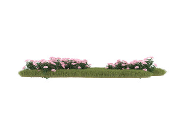 Field of grass with flowers on transparent background. 3d rendering - illustration