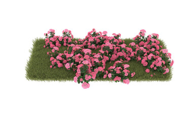 Fototapeta premium Field of grass with flowers on transparent background. 3d rendering - illustration