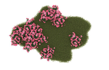 Field of grass with flowers on transparent background. 3d rendering - illustration