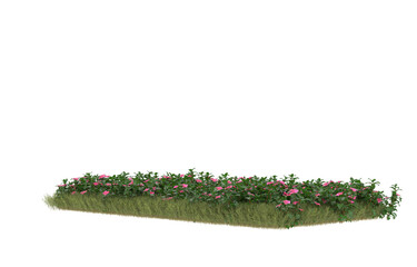 Field of grass with flowers on transparent background. 3d rendering - illustration