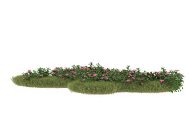 Field of grass with flowers on transparent background. 3d rendering - illustration