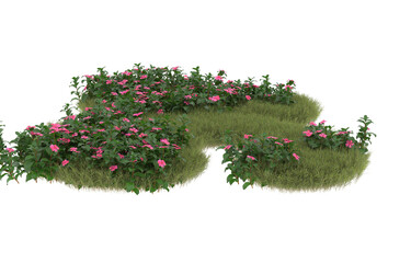 Fototapeta premium Field of grass with flowers on transparent background. 3d rendering - illustration