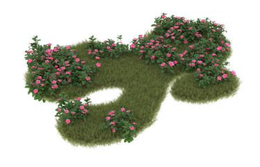 Fototapeta premium Field of grass with flowers on transparent background. 3d rendering - illustration