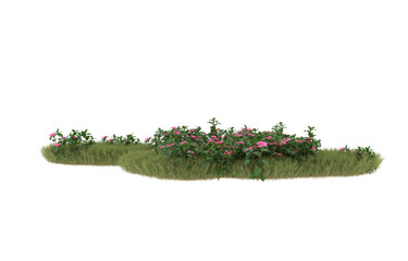 Field of grass with flowers on transparent background. 3d rendering - illustration