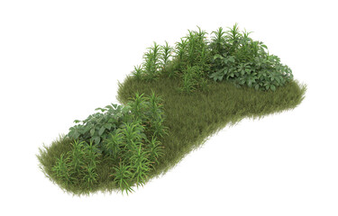 Field of grass with flowers on transparent background. 3d rendering - illustration